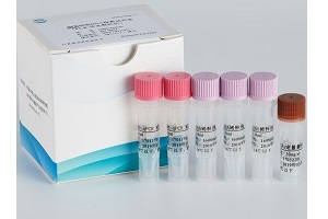 HEK293残留DNA检测试剂盒