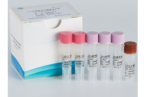 E.coli残留DNA检测试剂盒