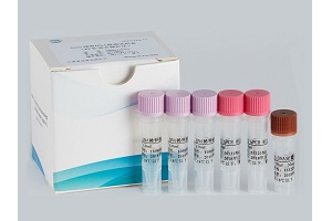 Vero残留DNA检测试剂盒