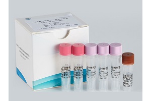 毕赤酵母残留DNA检测试剂盒