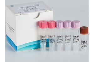 Human残留DNA检测试剂盒