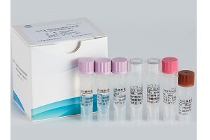 MDCK残留DNA检测试剂盒